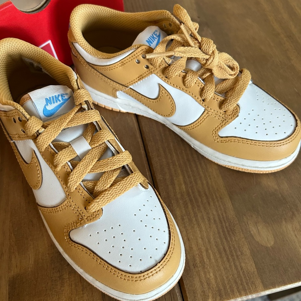 Nike Dunk Low (PSE) KIDS